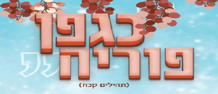 כגפן פוריה | יום העיון השנתי למדריכות לכלות