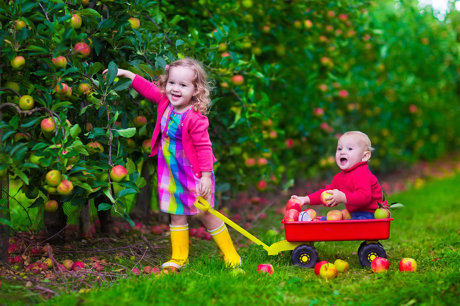 הילדים שמחוללים את הנס / רעיון לפרשת בשלח