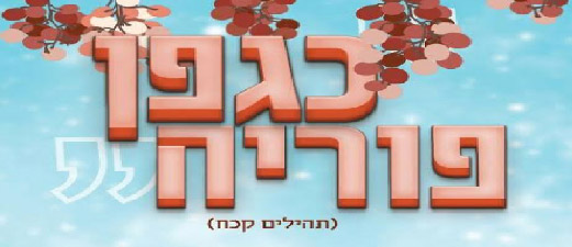 כגפן פוריה | יום העיון השנתי למדריכות לכלות